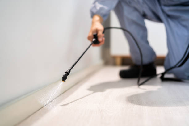 Licensed Ant Control service in Leesburg, VA - Show Me Pest Control