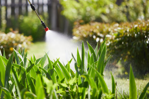 24/7 Emergency Ant Control experts in Leesburg, VA